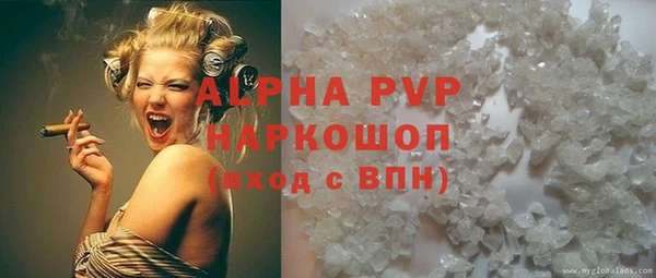 стаф Алзамай