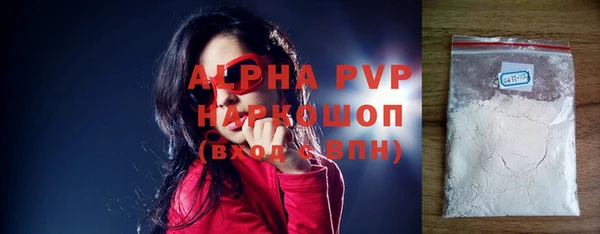 стаф Алзамай