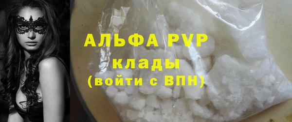 стаф Алзамай