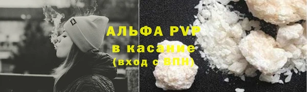 ПСИЛОЦИБИНОВЫЕ ГРИБЫ Переславль-Залесский