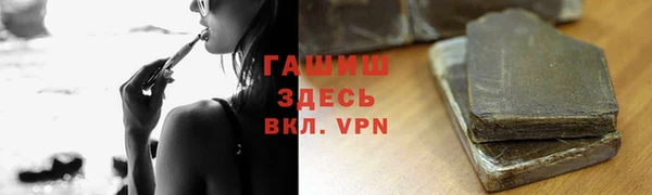прущие грибы Пересвет
