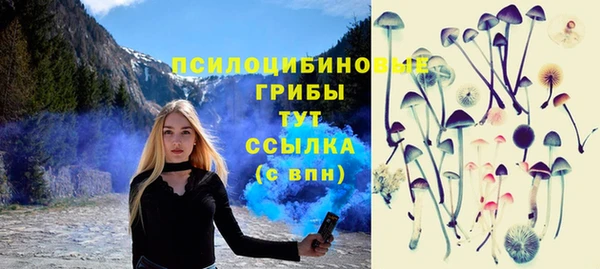 шишки Алексеевка
