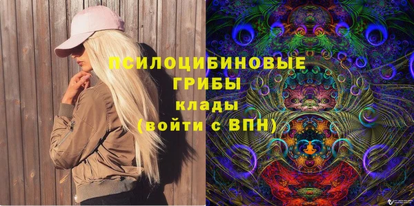 шишки Алексеевка