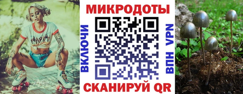 Псилоцибиновые грибы Psilocybe  гидра маркетплейс  Чаплыгин 